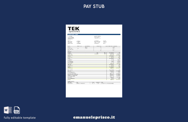 modello di busta paga TEKsystems in stile verificato